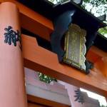 神社にいる夢を頻繁に見る